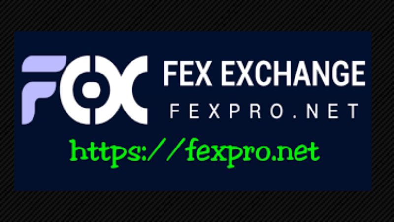 fex exchange criptomonedas centralizado Hong Kong