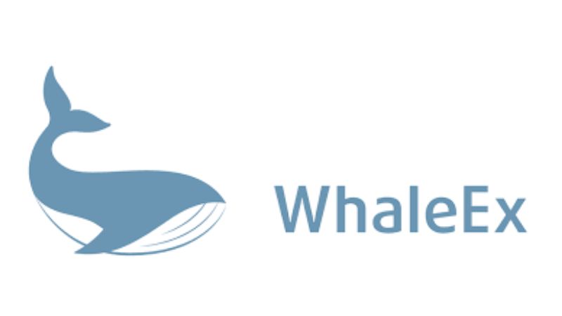 whaleex exchange criptomonedas centralizado Singapore