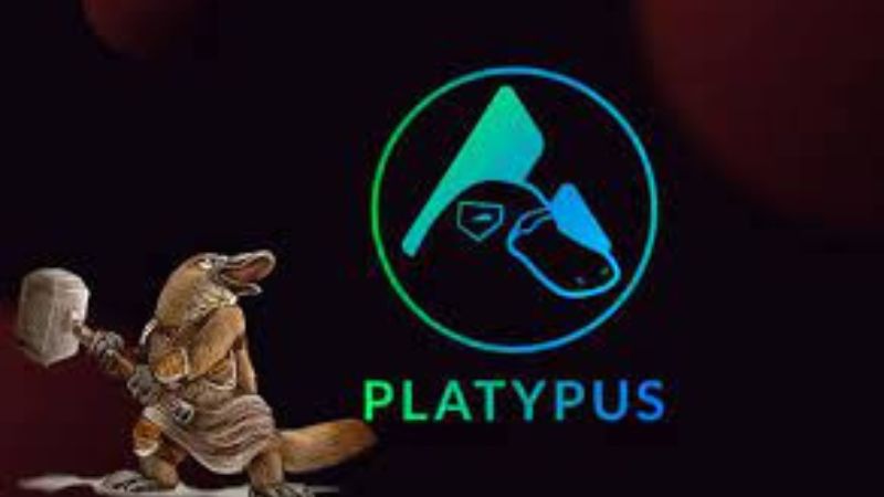 platypus finance exchange criptomonedas