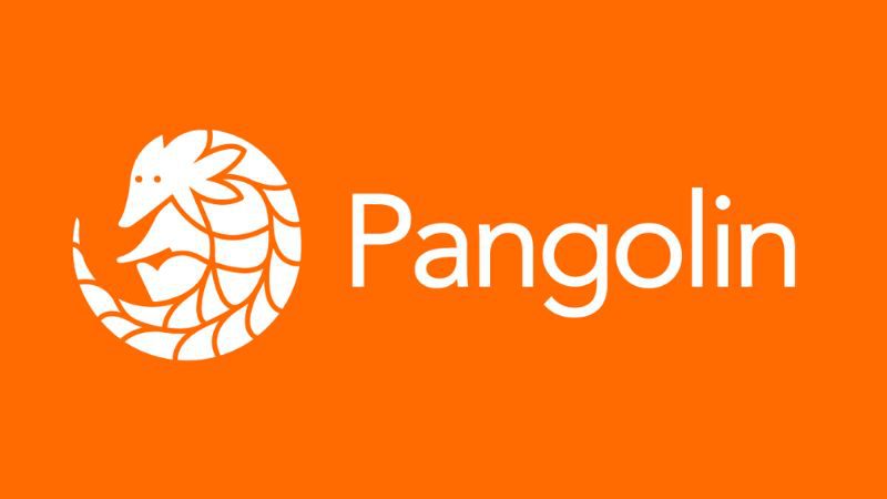 Pangolin exchange criptomonedas Descentralizado