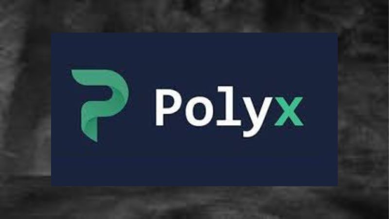 Polyx intercambio centralizado Estonia USD EUR RUB