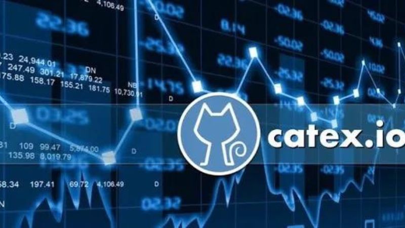 Catex exchange criptomonedas Centralizado China