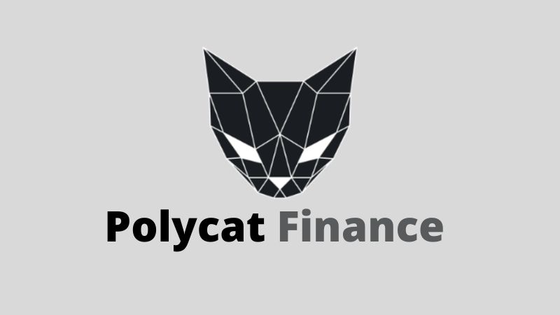 Polycat Finance exchange criptomonedas descentralizado